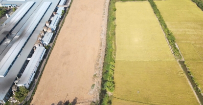 Cho Thuê Đất Công Nghiệp 1,4Ha Phù Hợp Nhà Máy Thức Ăn Chăn Nuôi, Phân Bón Và Công Nghiệp Phụ Trợ  
